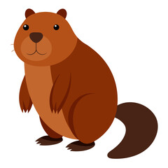 Beaver on white background