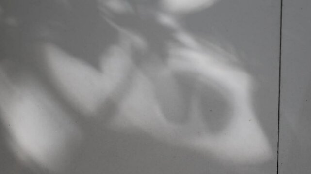 Sunlight dappled shadows forming a natural pattern on a surface.