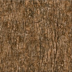 Detailed Close Up Texture of Rough Brown Tree Bark Natural Organic Pattern Background	