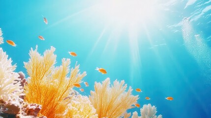 Underwater Paradise: A mesmerizing depiction of the underwater world, where the sun's rays dance through the crystal-clear water, illuminating vibrant corals and schooling fish.