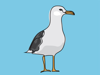 Seagull in continuous line drawing style.