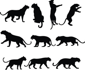 Tiger Silhouette Roaring in Jungle Wild Predator Vector Art, Fierce Tiger Shadow – Jungle Animal Silhouette for Wildlife Design