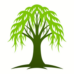 Willow tree vector silhouette illustration isolated on white background