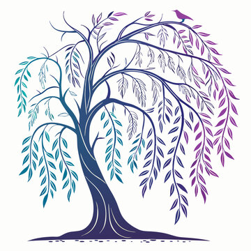 Willow tree vector silhouette illustration isolated on white background