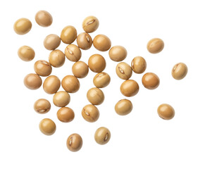 soybeans isolated on white background