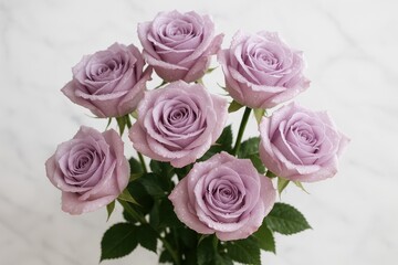 Fototapeta premium Elegant Lavender Rose Bouquet with Morning Dew Drops in Soft Natural Lighting Against Marble Background