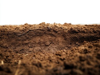 Close-Up View of Rich Brown Soil Layer with Textured Surface Detail