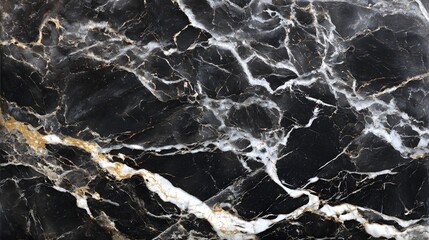 A visually striking black marble slab with intricate white veins running through it creating a captivating and luxurious textured surface that exudes sophistication and elegance