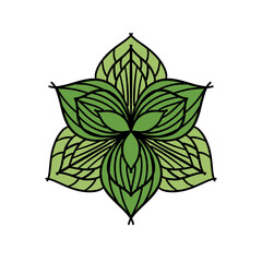 green leaves vector