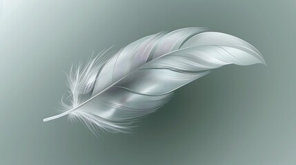 Fototapeta premium Elegant Feather Detail: A Study in Smooth Textures and Soft, Serene Color Gradients