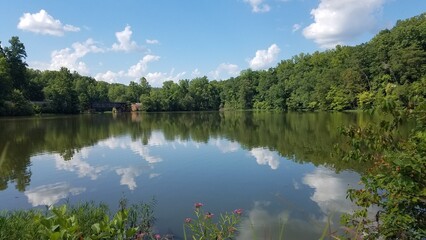 Reflections in the Water at Salem Lake Regional Park, Asheboro, North Carolina