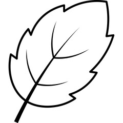 Doodle Fall Leaf