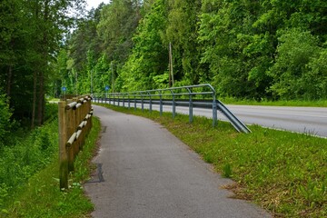Fototapeta premium Quiet forest road with pedestrian and bicycle path.