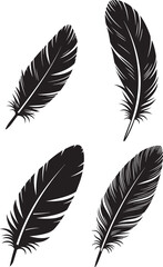 Obraz premium Elegant single feather silhouette design for artistic and natural themes