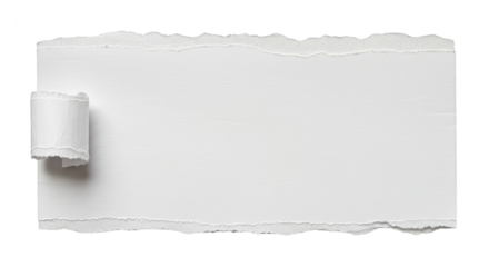 Isolated Torn White Paper Texture with Rolled Edge Background