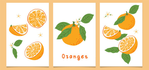 A set of vintage posters featuring hand-drawn oranges. A modern botanical print with hand-drawn oranges, leaves, and flowers.