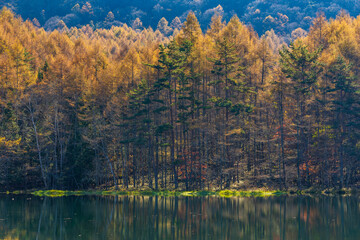 日本の風景・秋　長野県奥蓼科　紅葉の御射鹿池