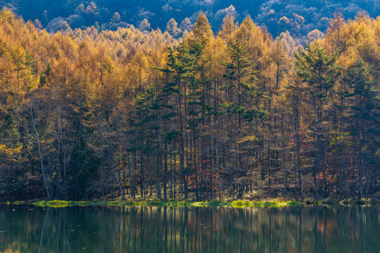 御射鹿池(みしゃかいけ) パステル画 蓼科 御射鹿池