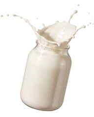 milk splash in glass jar on white background.