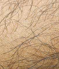 Detailed macro image highlighting the texture, pores, fine hairs, and wrinkles of human skin on a hand. Focuses on the intricate details of the skin's surface.