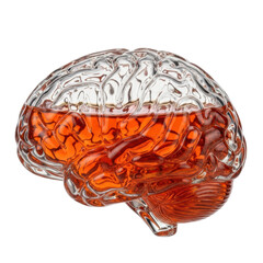 Brain shaped glass filled with liquid. Great for science, medicine, or creative concepts.