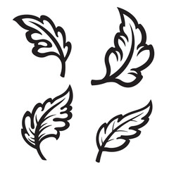 Fototapeta premium Vector illustration of four decorative black and white leaf ornaments for design elements and patterns