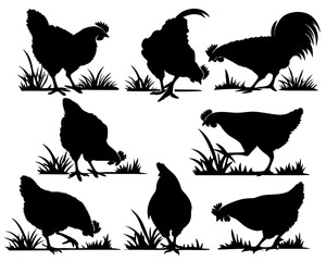 Collection of black silhouettes of chickens and roosters grazing in grass