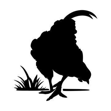 black chicken pecking grass silhouette clip art preview