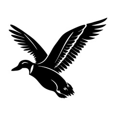 Obraz premium Black silhouette of a mallard duck in flight with wings spread wide