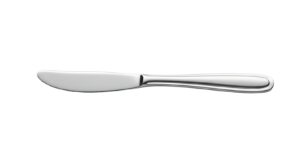 Stainless Steel Butter Knife Elegant Design.