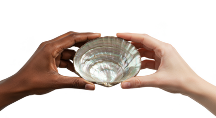 Hands Showing Iridescent Seashell Two Diverse Skin Color Transparent