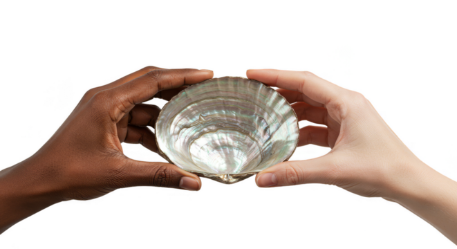 Hands Showing Iridescent Seashell Two Diverse Skin Color Transparent - Powered by Adobe