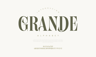 Stylish serif font with luxurious flair, ideal for branding, fashion, and editorial designs
