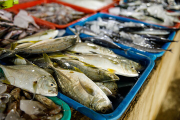 Assorted fresh fish on trays at seafood market display