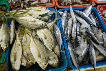 Assorted fresh fish on trays at seafood market display