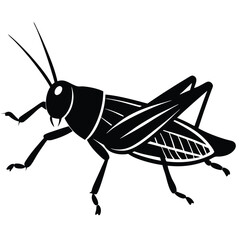 Grashoper vector silhouette Single collection 