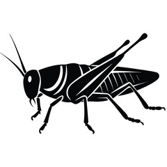 Grashoper vector silhouette Single collection 