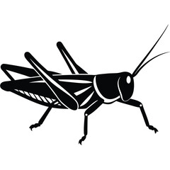 Grashoper vector silhouette Single collection 