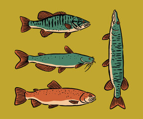 A rustic hand-drawn collection of river fish, including catfish and perch, with vintage colors and retro outdoor aesthetic.