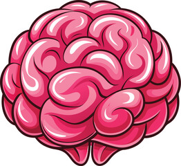 Fototapeta premium Human Brain anatomy illustration 