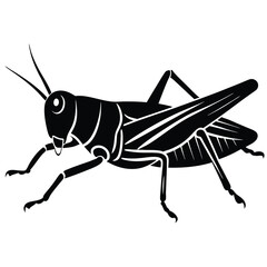 Grashoper vector silhouette Single collection 