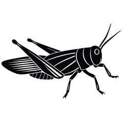 Grashoper vector silhouette Single collection 