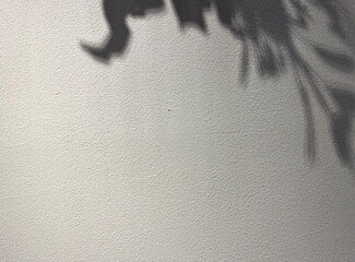 Cement wall background. Shadow and light from wall