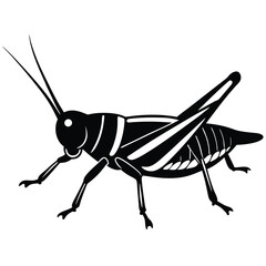 Grashoper vector silhouette Single collection 