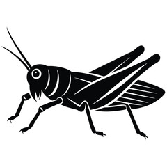 Grashoper vector silhouette Single collection 