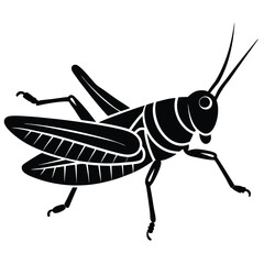 Grashoper vector silhouette Single collection 