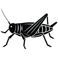 Grashoper vector silhouette Single collection 