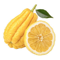 Buddha's hand fruit or fingered citron with a slice and leaf, cut out