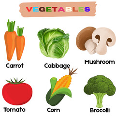 Vibrant Vegetables A Colorful Guide to Carrots, Cabbage, Mushrooms, Tomatoes, Corn, and Broccoli
