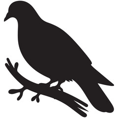 Silhouette of a Pigeon on branch vector Illustration